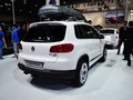Tiguan 图片