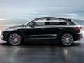 Macan Macan turbo 2014款圖片