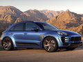 Macan 2014款 Macan图片