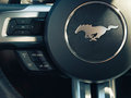 Mustang MUSTANG 基本型 2015款图片