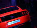 Mustang MUSTANG 基本型 2014款图片