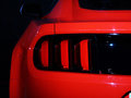 Mustang MUSTANG 基本型 2014款图片