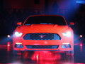 Mustang MUSTANG 基本型 2014款圖片