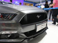 Mustang 2015款 野马图片