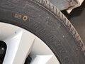 逸动 2014款 1.6L 手动尊贵型图片