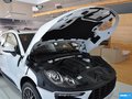 Macan 圖片