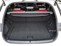 雷克萨斯CT 200h 1.8L CVT F SPORT版（双色）2014款图片