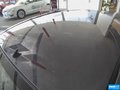 阳光 图片