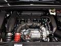DS 5LS 1.6T 自動(dòng) 雅致版 THP160 2014款圖片