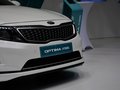 Optima 图片