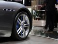 Alfieri 图片