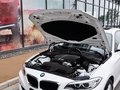 宝马2系（进口） 220i 2.0T 领先型 2014款图片