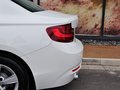 寶馬2系（進(jìn)口） 220i 2.0T 領(lǐng)先型 2014款圖片