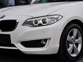 宝马2系（进口） 220i 2.0T 领先型 2014款图片