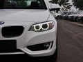 宝马2系（进口） 220i 2.0T 领先型 2014款图片