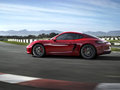 Cayman 2014款 Cayman圖片