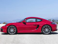 Cayman 2014款 Cayman圖片