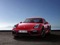Cayman 2014款 Cayman图片