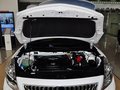 福美来M5 14款 海马 福美来M5 1.6L 自动舒适型图片