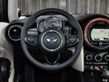 MINI 2014款 COOPER Excitement版图片