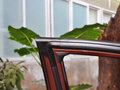 駿派D60 2014款 1.8L 自動 尊貴型圖片