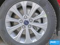 福睿斯 圖片