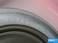 福睿斯 图片
