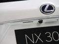 雷克薩斯NX 圖片