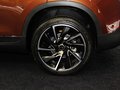 DS 6 图片