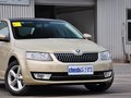 明锐 1.6L 自动 逸俊版 2015款图片