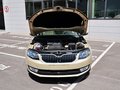 明锐 1.6L 自动 逸杰版 2015款图片