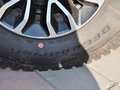 福特F-150猛禽 2014款 福特 F150 SVT Raptor特别版图片