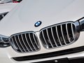宝马X3（进口） xDrive20i X设计套装 5座 2014款图片