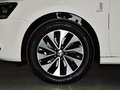 速腾 改款 1.4TSI 蓝驱版 2014款图片