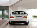 奔驰CLS CLS250 CDI Shooting Brake 2013款图片