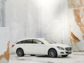 奔驰CLS CLS250 CDI Shooting Brake 2013款图片