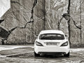 奔驰CLS CLS250 CDI Shooting Brake 2013款图片