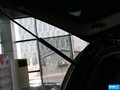 雷斯特W 图片