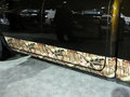 RAM Trucks霸王龙 1500 Mossy Oak Edition 2014款图片