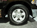 RAM Trucks霸王龙 1500 Mossy Oak Edition 2014款图片