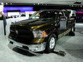 RAM Trucks霸王龍 1500 Mossy Oak Edition 2014款圖片