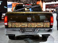 RAM Trucks霸王龙 1500 Mossy Oak Edition 2014款图片