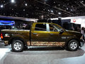 RAM Trucks霸王龙 1500 Mossy Oak Edition 2014款图片