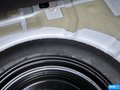 福克斯 图片