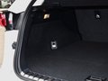 雷克薩斯NX 2015款 雷克薩斯 NX300h 全驅(qū)鋒致版圖片