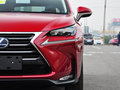 雷克萨斯NX 2015款 300h 前驱版 5座图片