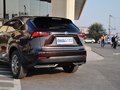 雷克萨斯NX 2015款 300h 前驱版图片
