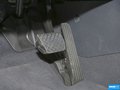 甲壳虫 图片