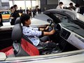 甲壳虫 图片