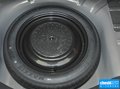 福睿斯 图片